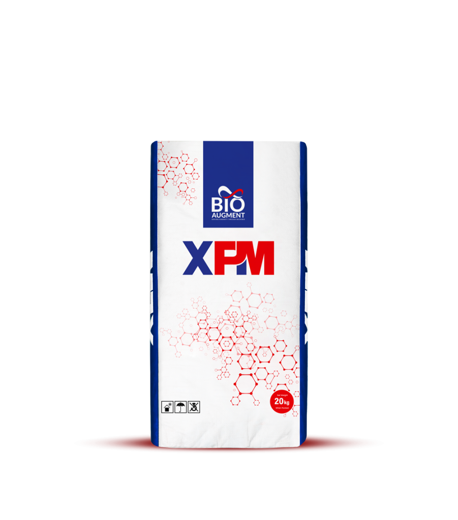 XPM Dairy feed