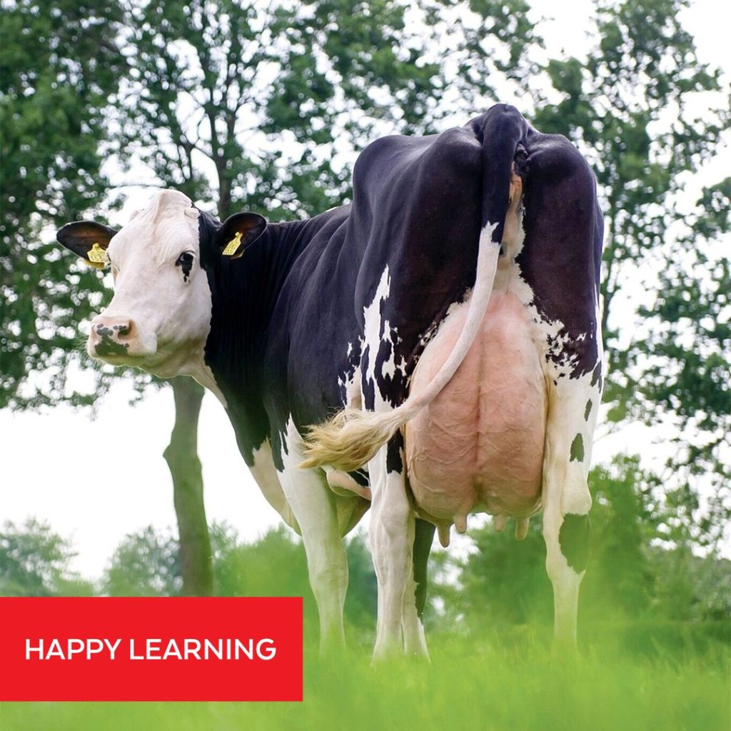 livestock Dairy Nutrition