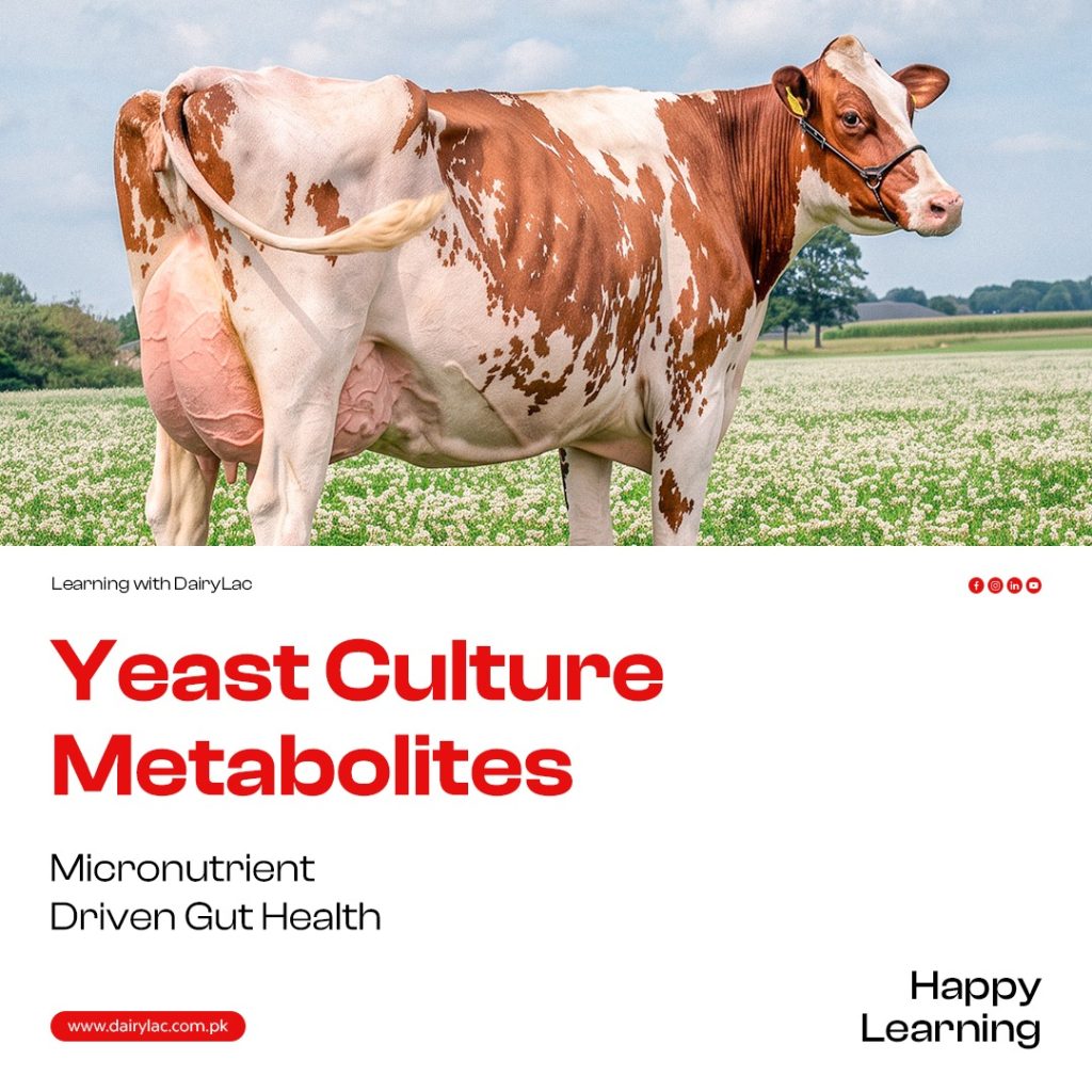 livestock nutrition
