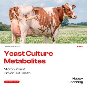 Yeast Culture Metabolites – Micronutrient Driven Gut Health